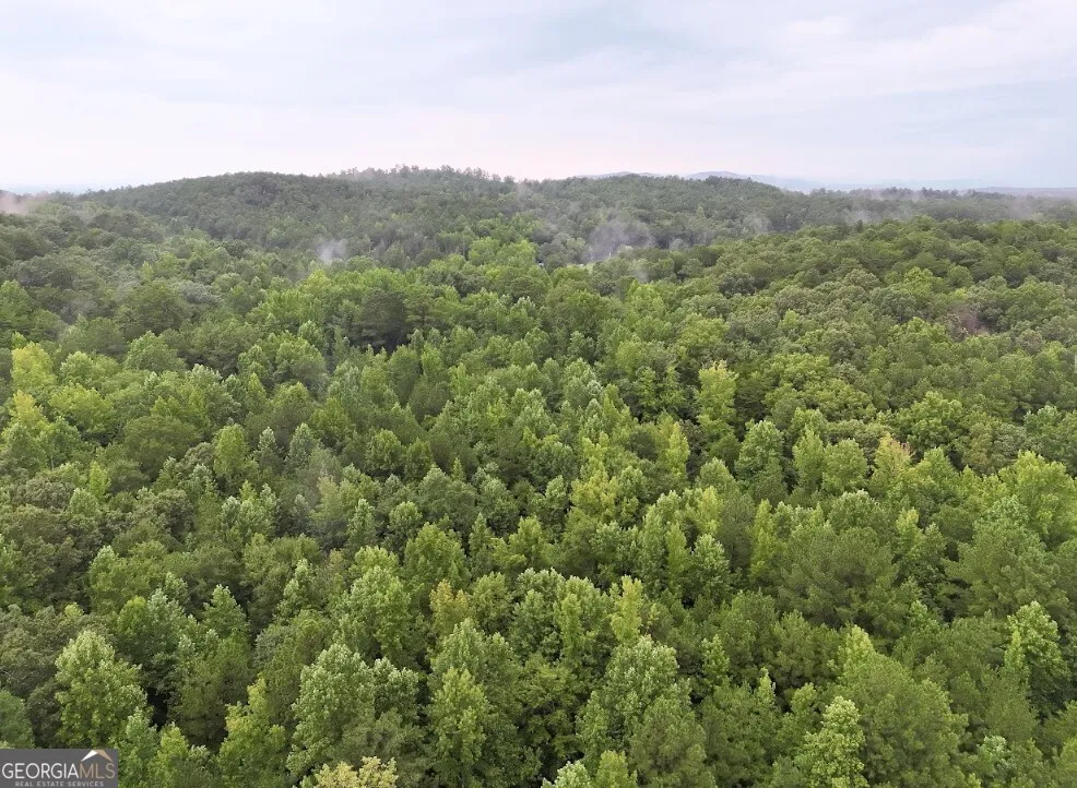 0 Hopeful RD Munfurd, AL 36268