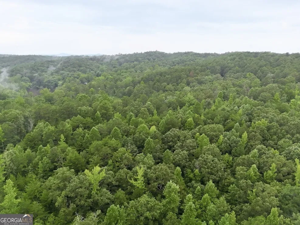 0 Hopeful RD Munfurd, AL 36268