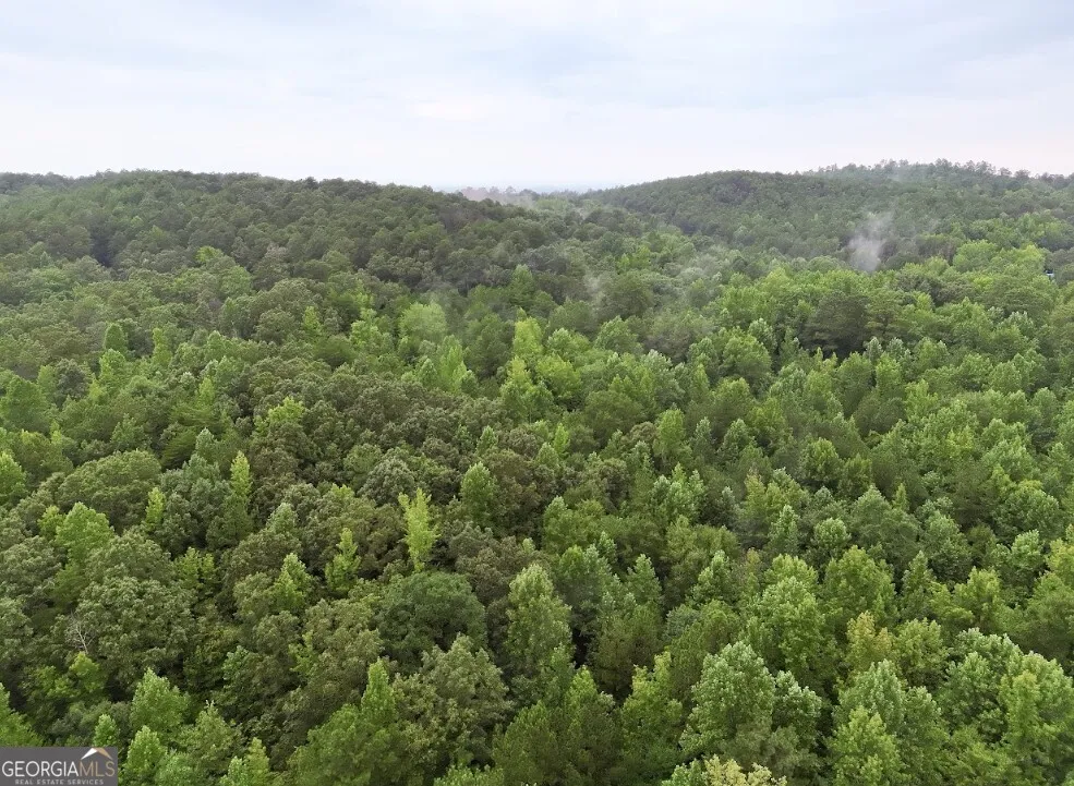 0 Hopeful RD Munfurd, AL 36268