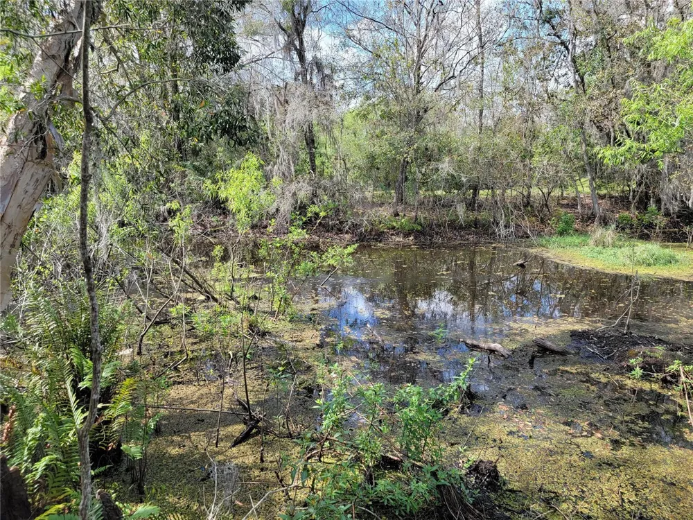 TBD BELL LAKE ROAD Land O Lakes, FL 34639