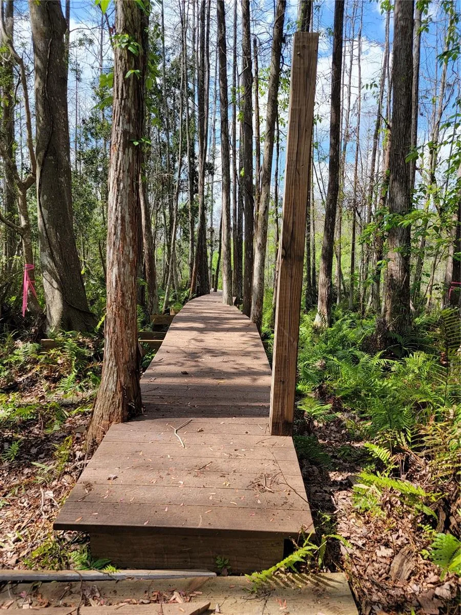 TBD BELL LAKE ROAD Land O Lakes, FL 34639