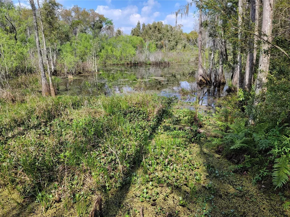 TBD BELL LAKE ROAD Land O Lakes, FL 34639