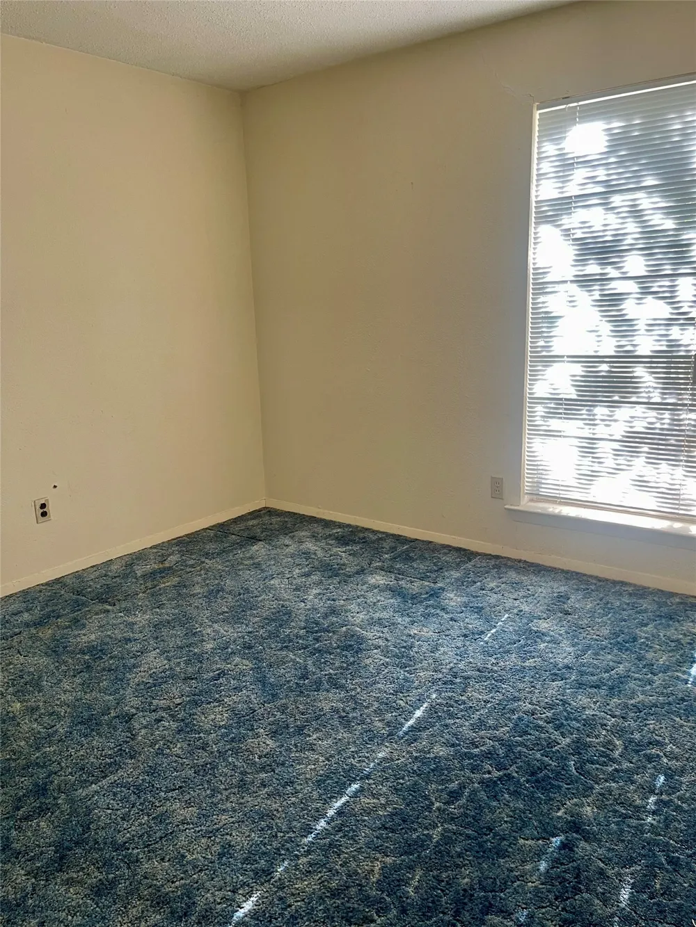 2110 SE 25th Avenue Mineral Wells, TX 76067