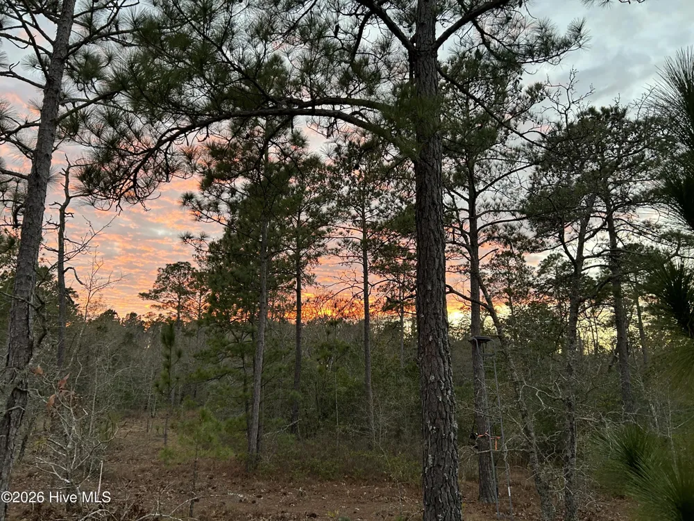 000 Sand Ridge Road Hubert, NC 28539