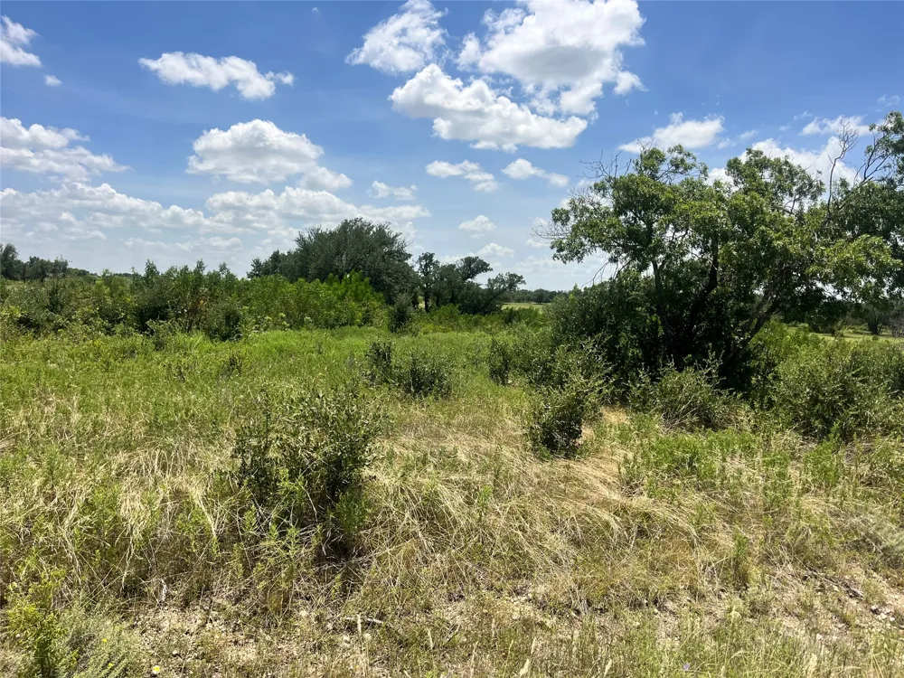 539 Pecan Valley Drive Energy, TX 76452