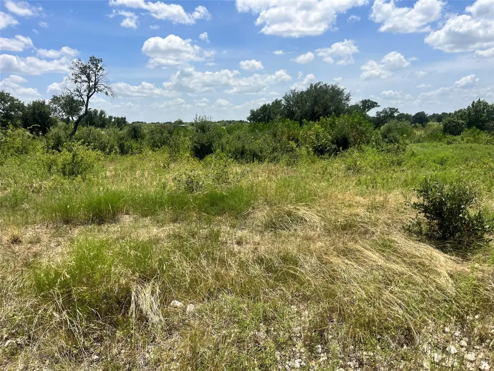 539 Pecan Valley Drive Energy, TX 76452