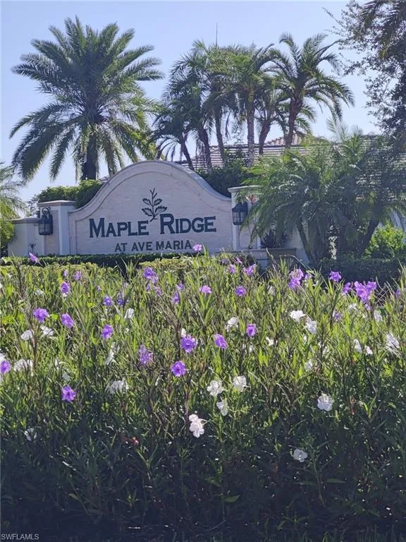 5081 Gambero Way Ave Maria, FL 34142