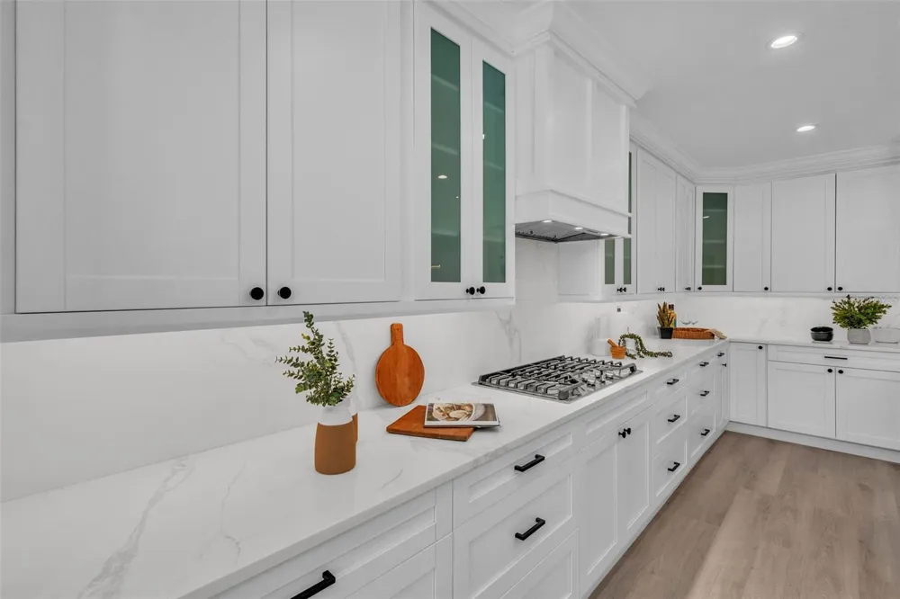 965 BRUCE AVENUE Clearwater Beach, FL 33767