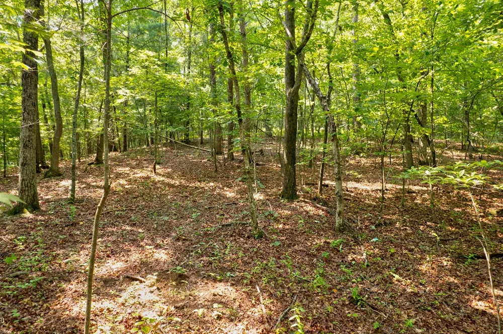 0 Shady Lane Mineral Bluff, GA 30559