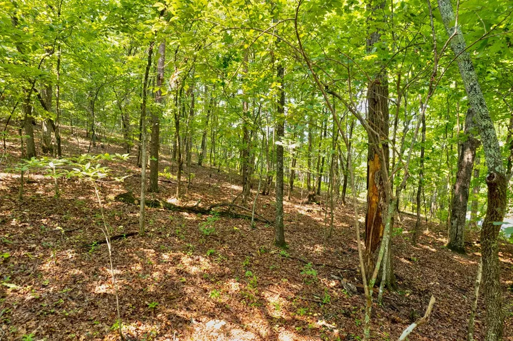 0 Shady Lane Mineral Bluff, GA 30559