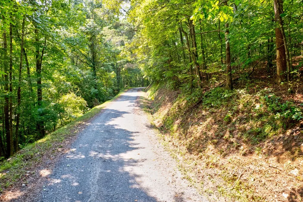 0 Shady Lane Mineral Bluff, GA 30559