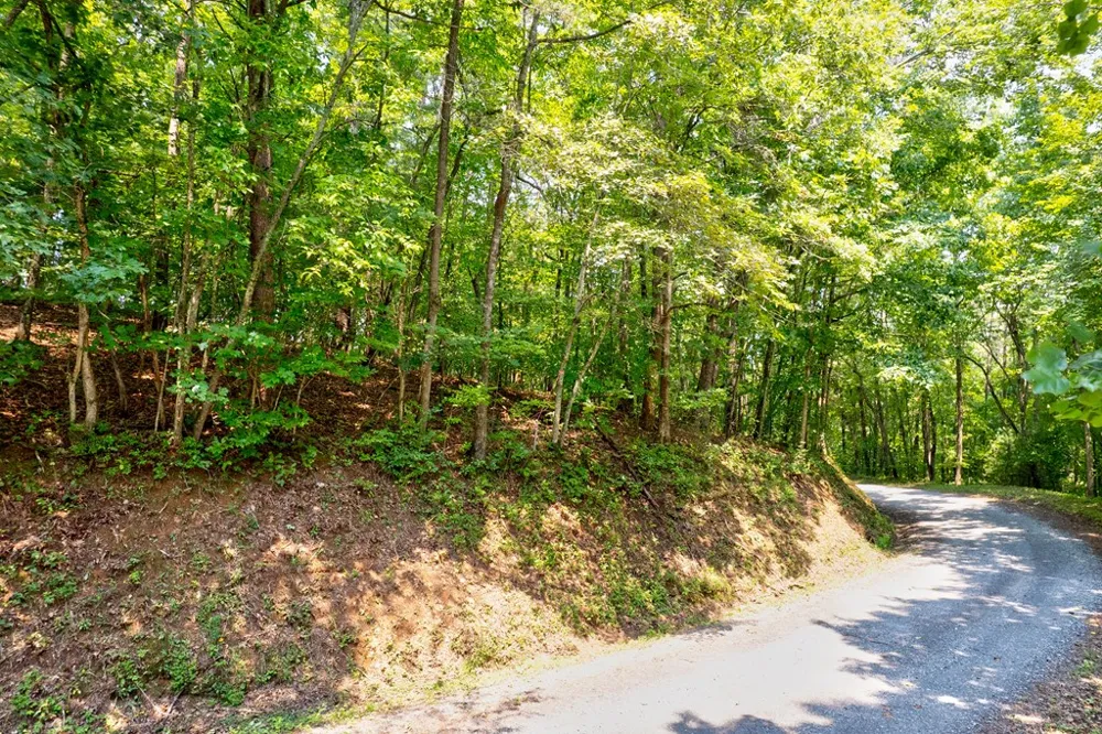 0 Shady Lane Mineral Bluff, GA 30559