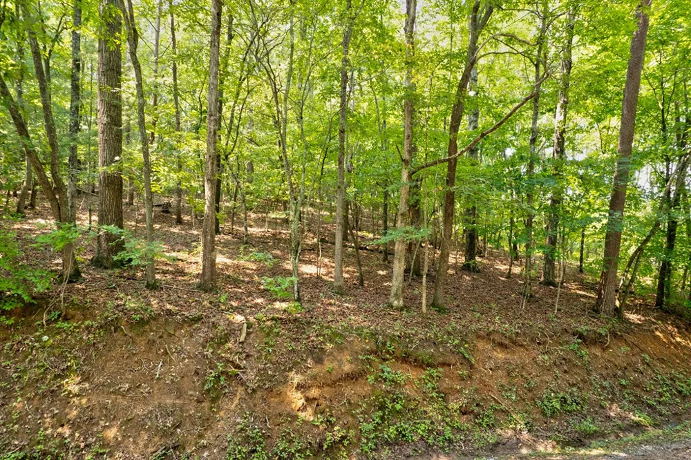 0 Shady Lane Mineral Bluff, GA 30559