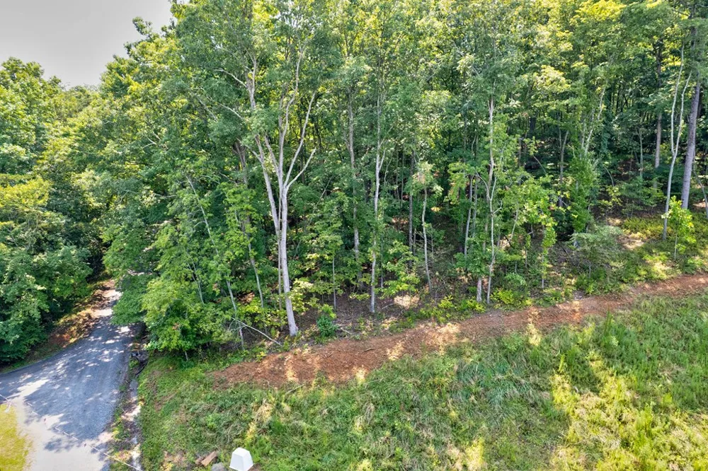 0 Shady Lane Mineral Bluff, GA 30559