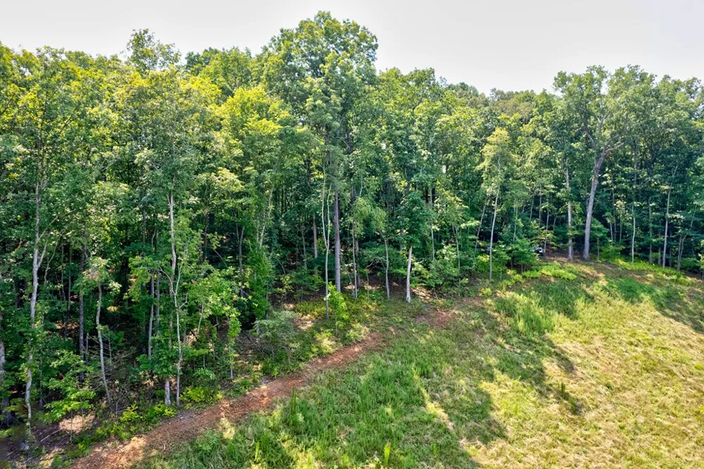 0 Shady Lane Mineral Bluff, GA 30559