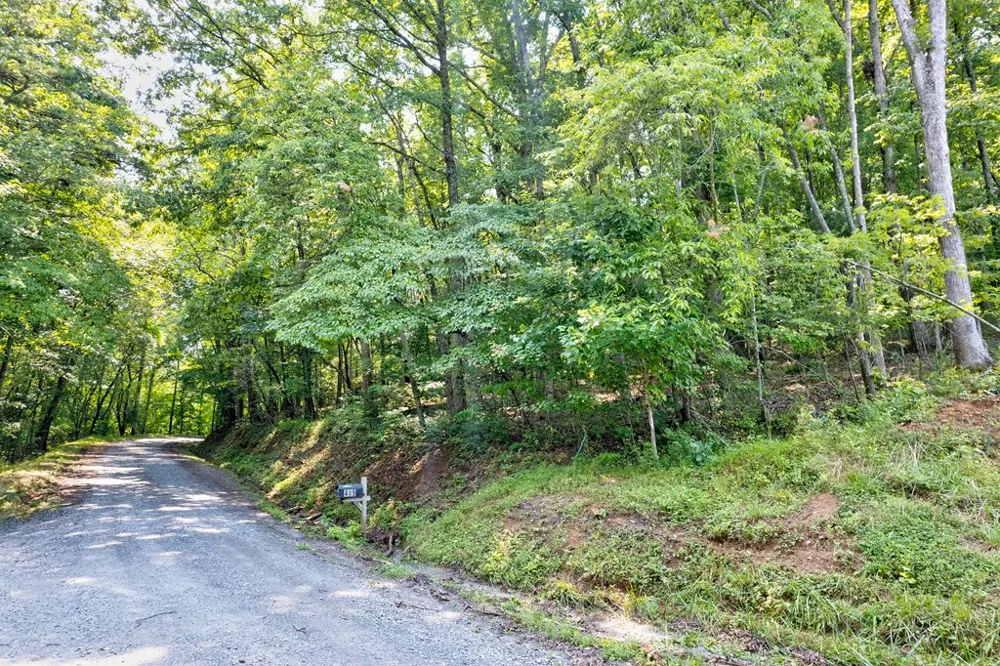 0 Shady Lane Mineral Bluff, GA 30559