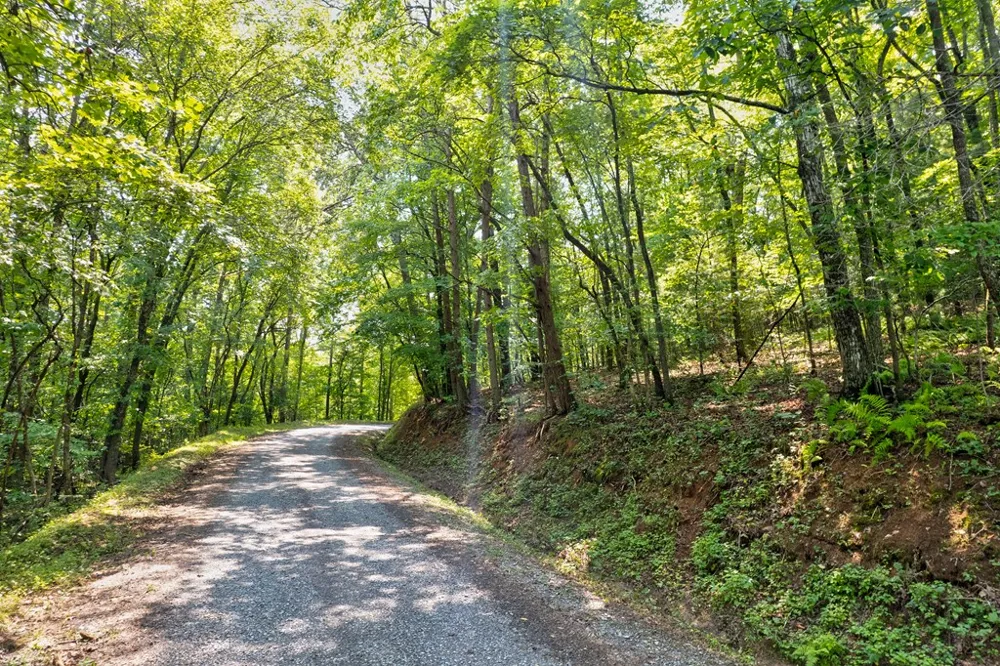 0 Shady Lane Mineral Bluff, GA 30559