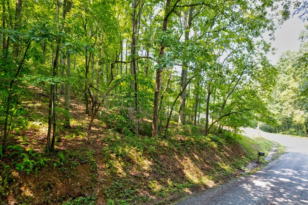 0 Shady Lane Mineral Bluff, GA 30559