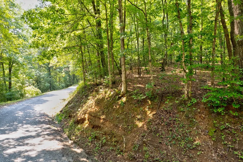 0 Shady Lane Mineral Bluff, GA 30559