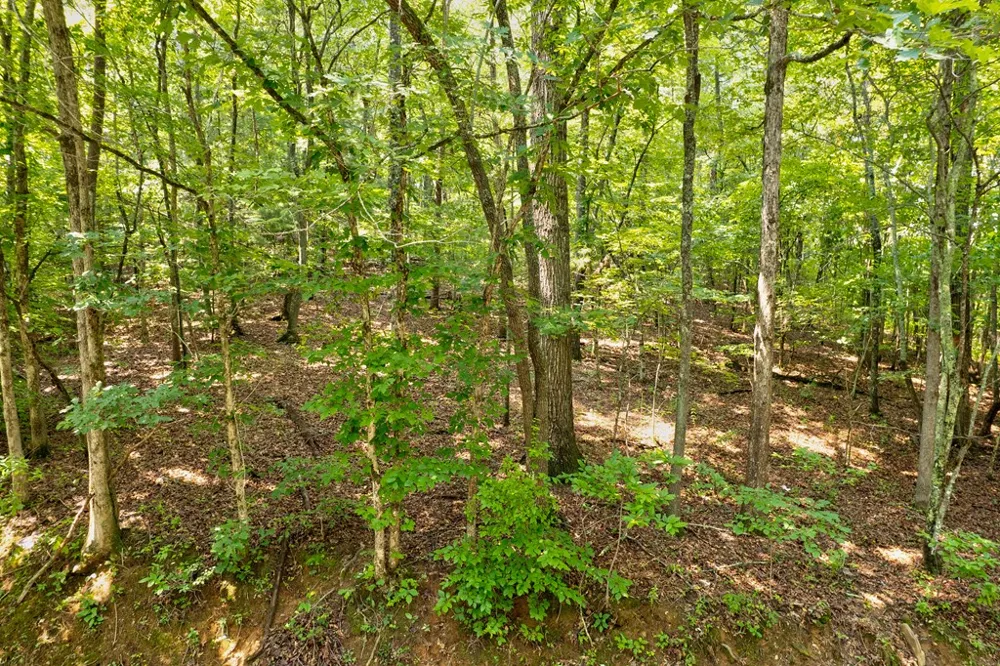 0 Shady Lane Mineral Bluff, GA 30559