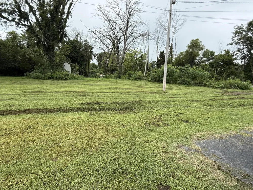 Address Not Shown Jasper, TN 37347