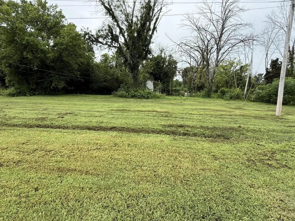 Address Not Shown Jasper, TN 37347