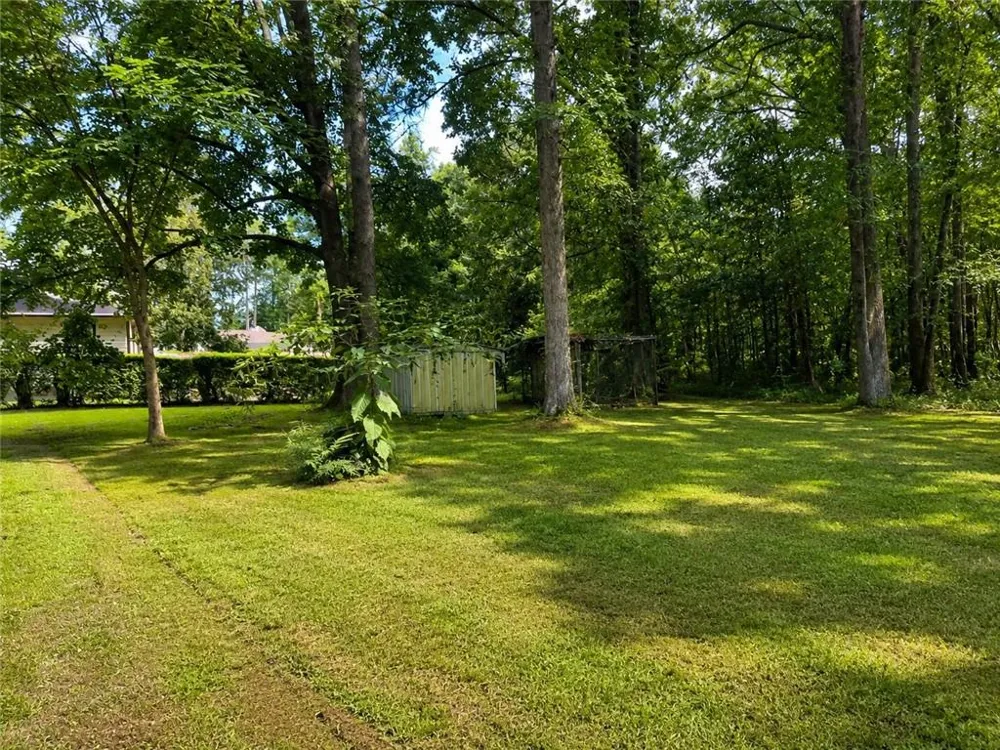 172 Raymond Carson Newnan, GA 30265