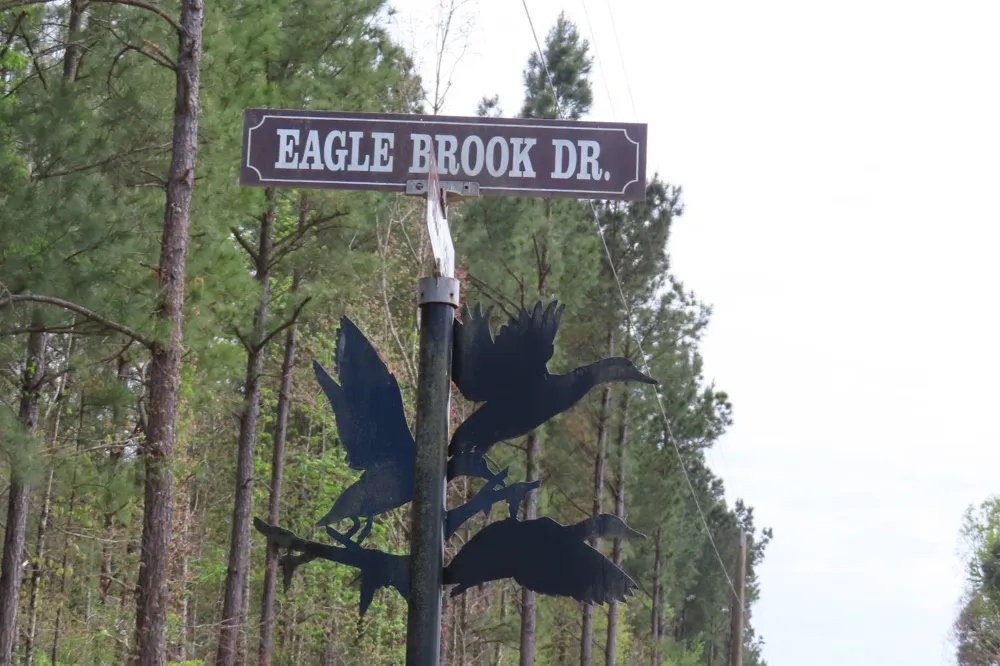19 Eagle Brook Drive Lewisville, AR 71845