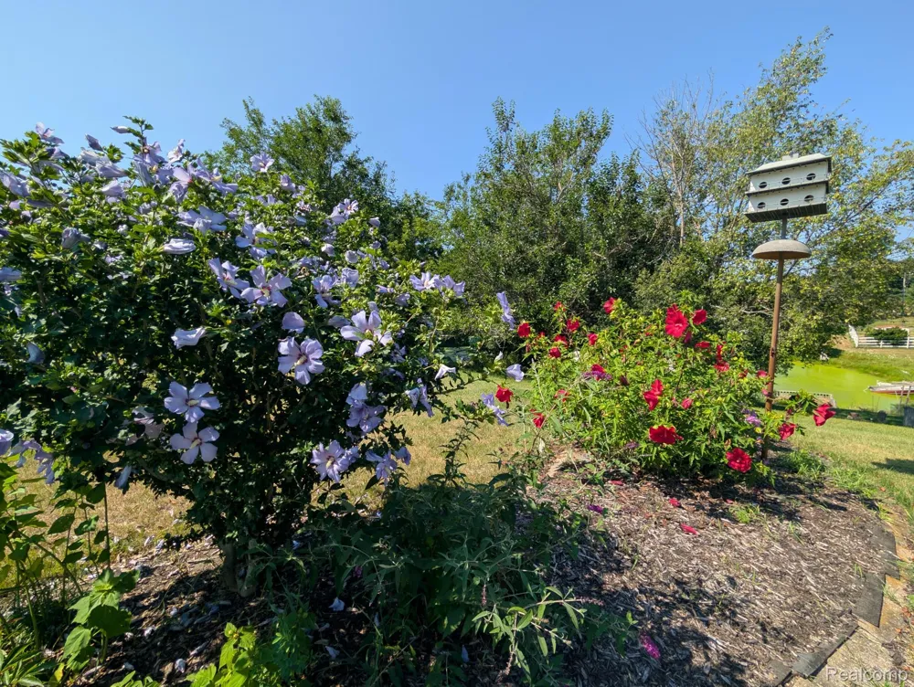 9362 Bennett Lake Road Tyrone Township, MI 48430