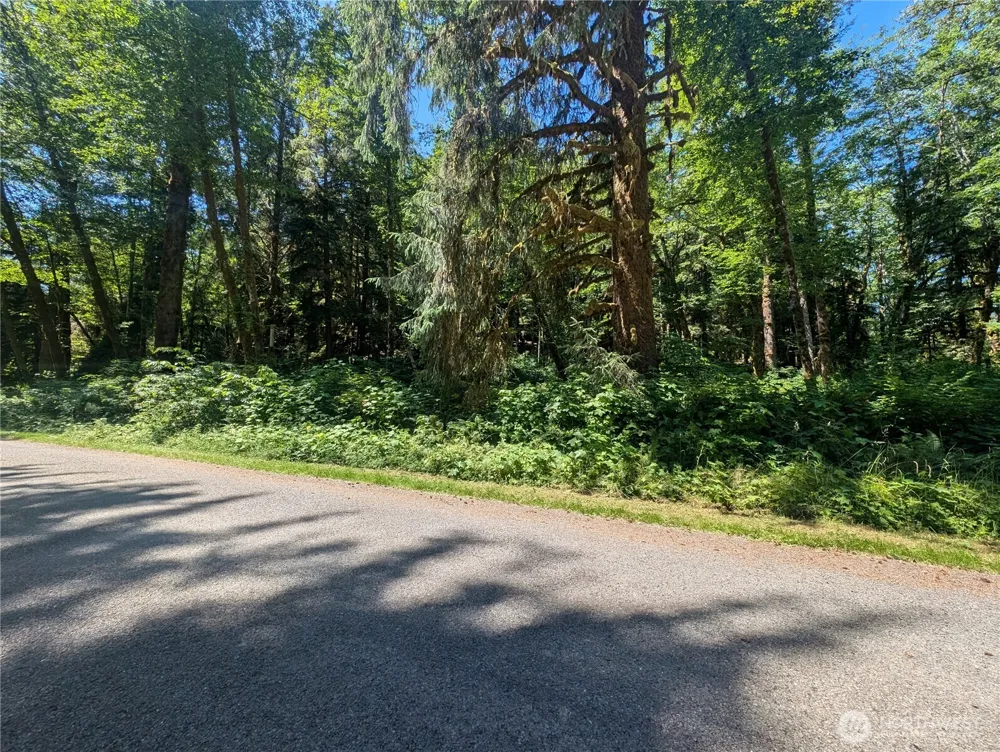 999 Kallman Road Forks, WA 98331