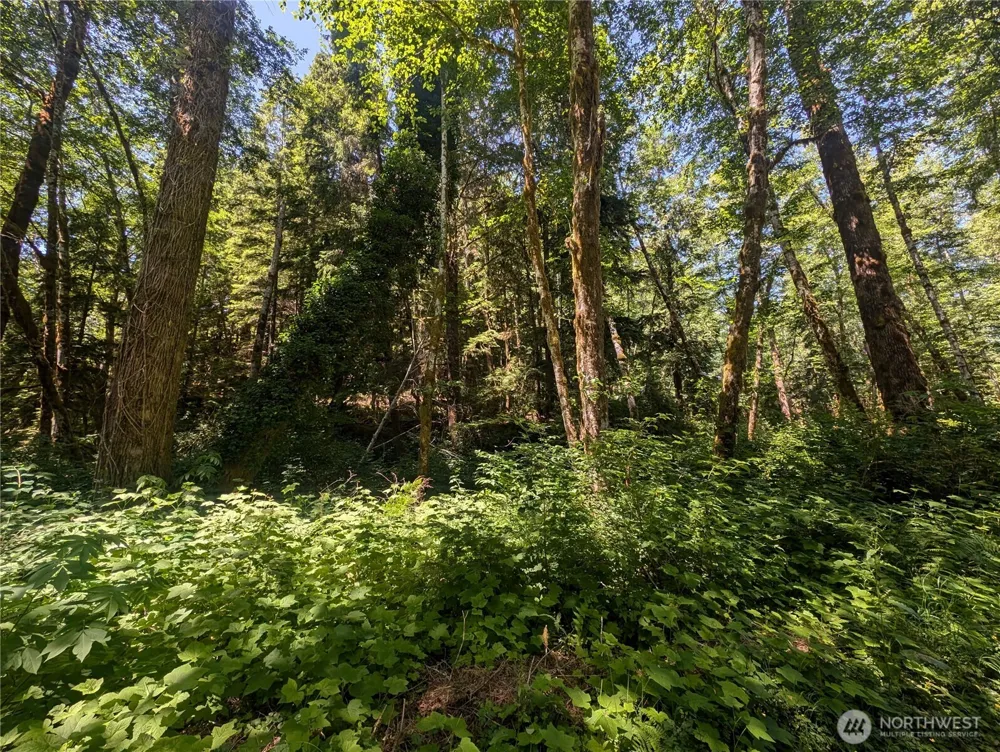 999 Kallman Road Forks, WA 98331