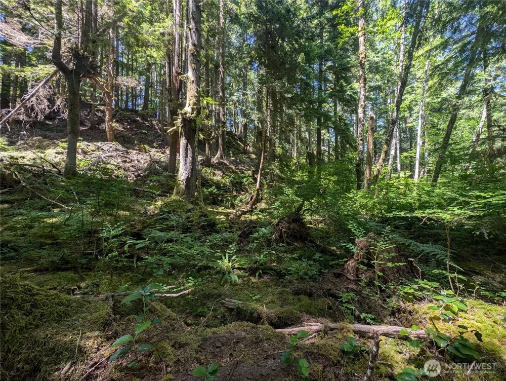 999 Kallman Road Forks, WA 98331