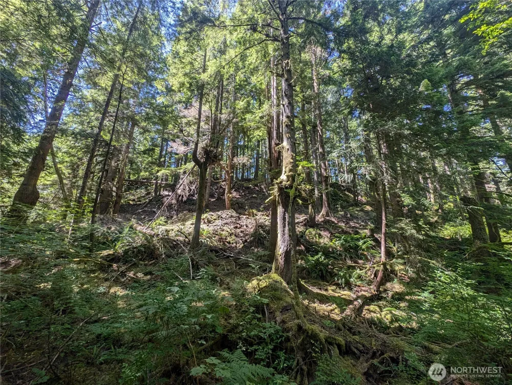 999 Kallman Road Forks, WA 98331