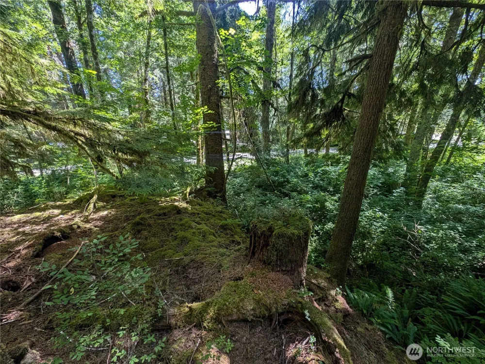 999 Kallman Road Forks, WA 98331