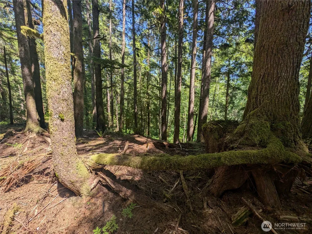 999 Kallman Road Forks, WA 98331