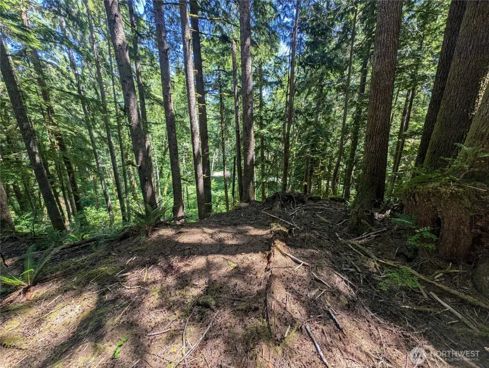 999 Kallman Road Forks, WA 98331