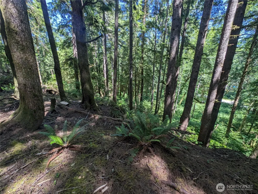 999 Kallman Road Forks, WA 98331
