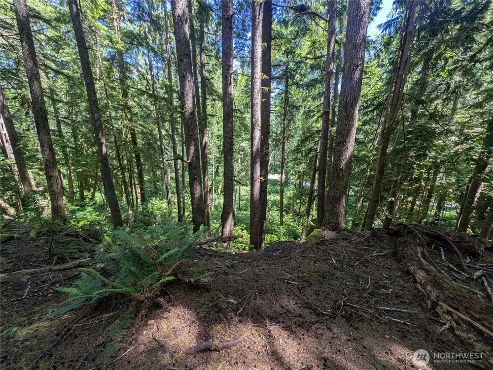 999 Kallman Road Forks, WA 98331