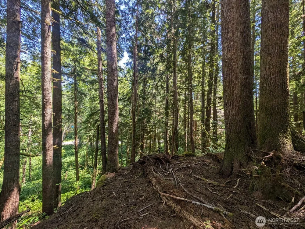 999 Kallman Road Forks, WA 98331