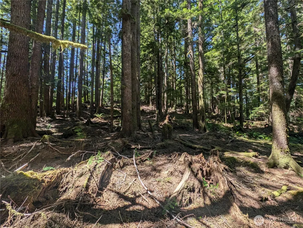 999 Kallman Road Forks, WA 98331