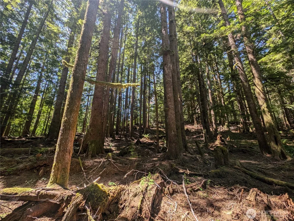 999 Kallman Road Forks, WA 98331
