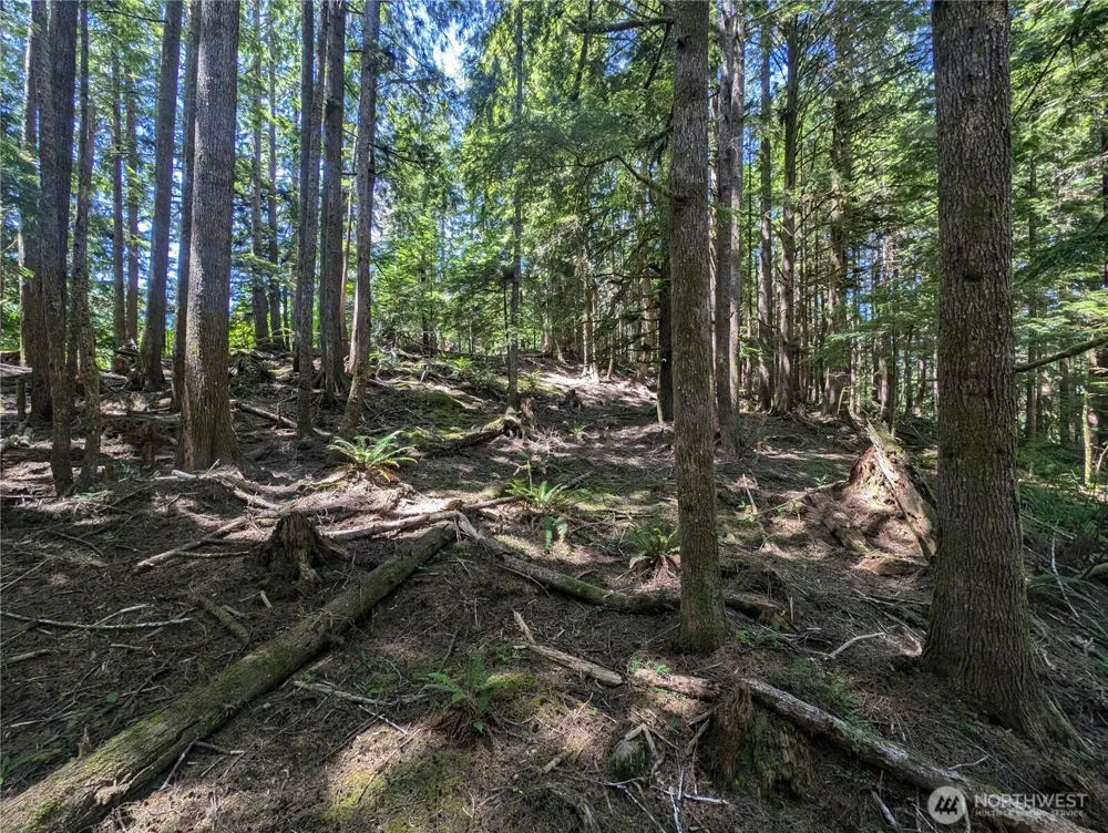 999 Kallman Road Forks, WA 98331