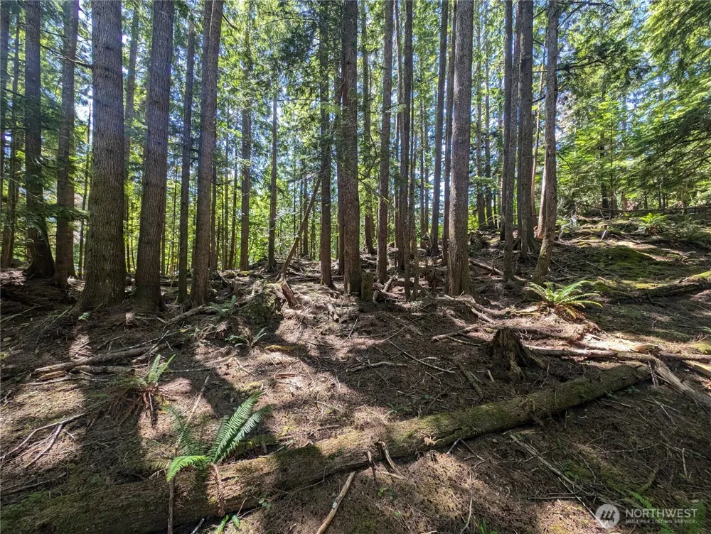 999 Kallman Road Forks, WA 98331
