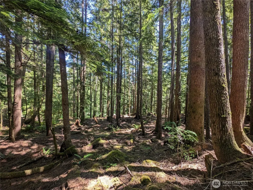 999 Kallman Road Forks, WA 98331