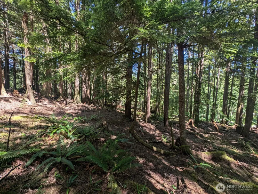 999 Kallman Road Forks, WA 98331