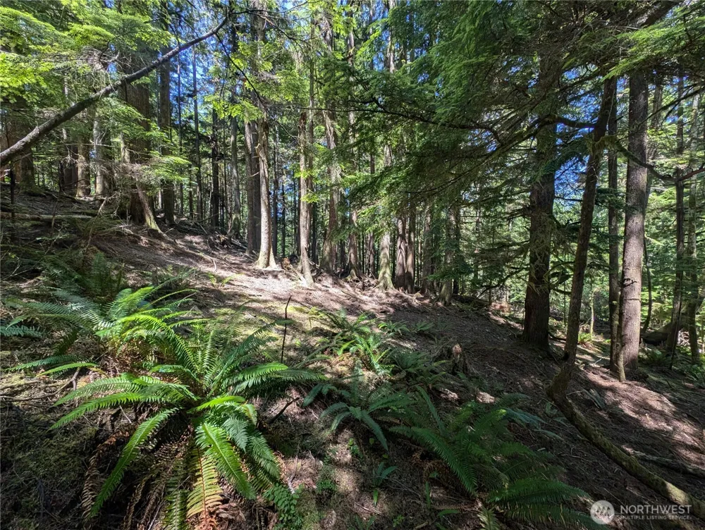 999 Kallman Road Forks, WA 98331
