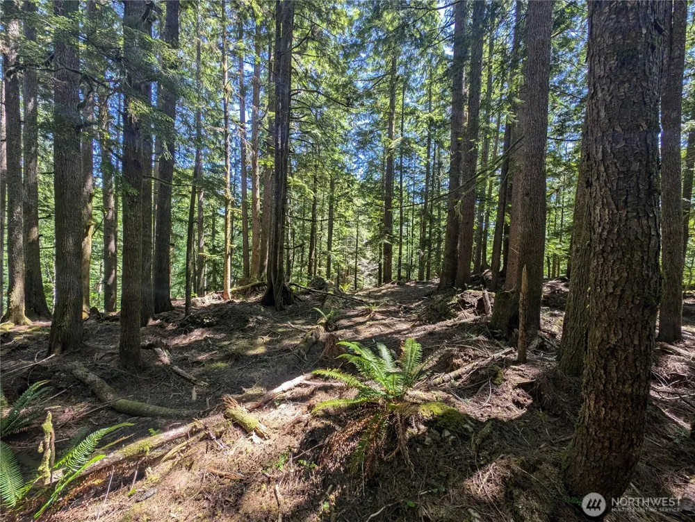 999 Kallman Road Forks, WA 98331