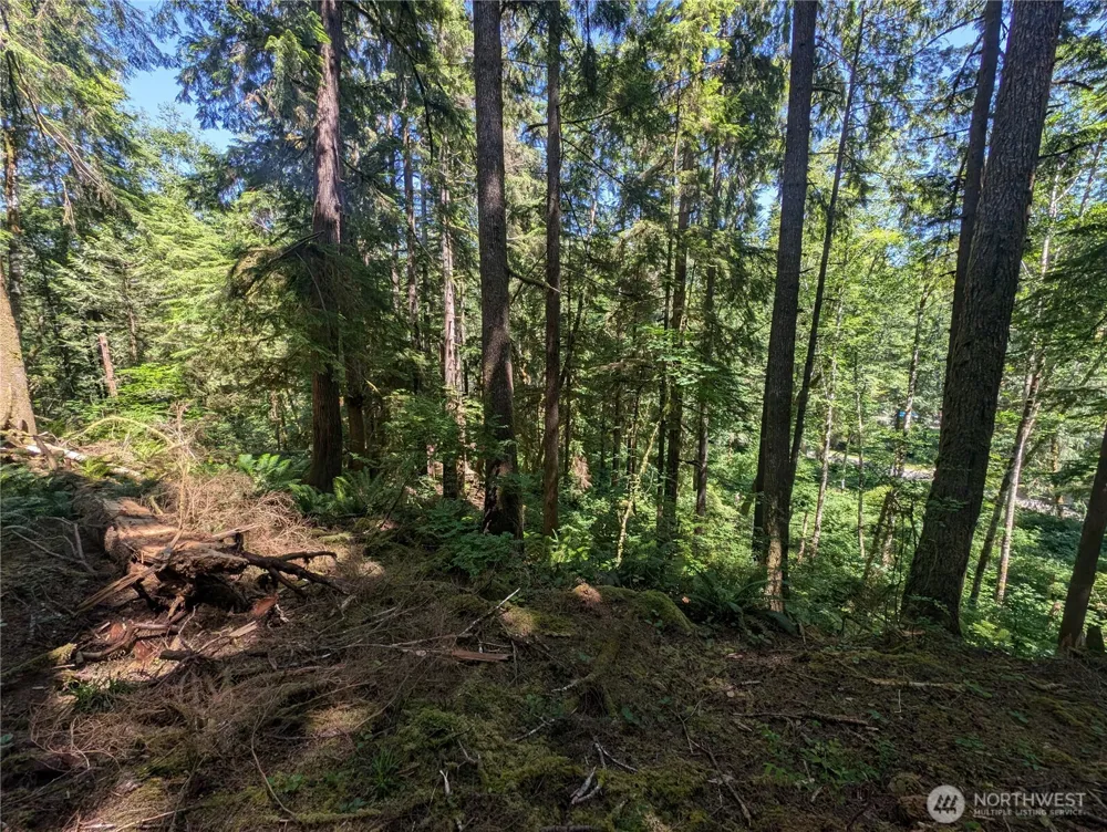 999 Kallman Road Forks, WA 98331