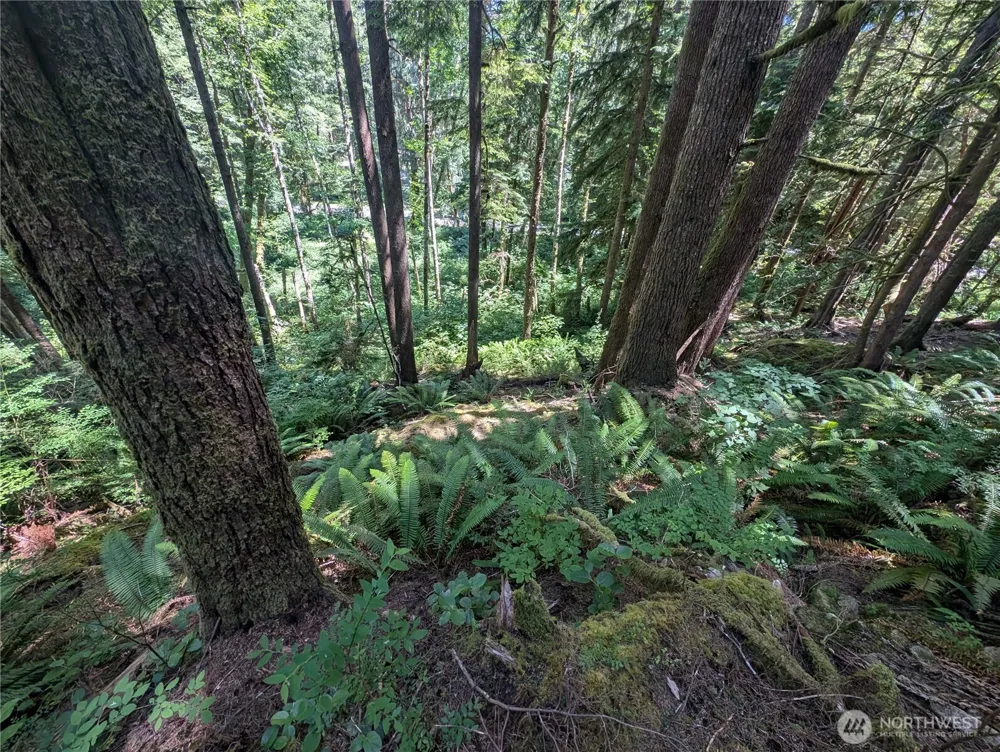 999 Kallman Road Forks, WA 98331