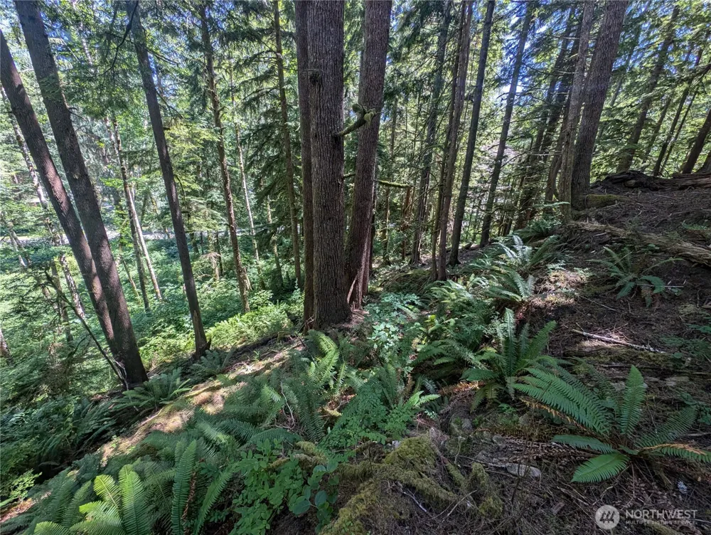 999 Kallman Road Forks, WA 98331